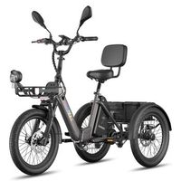 bicicleta electrica fafrees f20 mate ii - motor 250w bateria 48v25ah 20 pulgada neumaticos freno de disco hidraulico - negro intenso