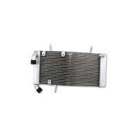 refrigerador motor ducati 748 agua