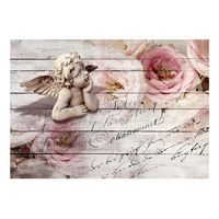 papel pintado 3d - angel and calm 350x245 cm