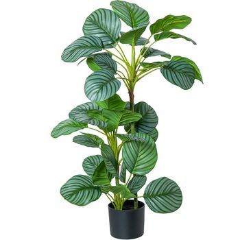 Planta Artificial Calathea Verde