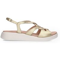 wonders sandalias c-6550 para mujer