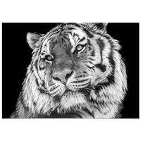 panorama cuadro de aluminio tigre 100x70 cm