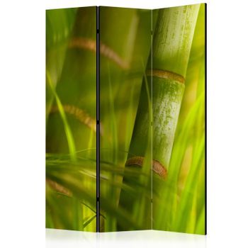 Biombo - Bamboo - Nature Zen (135x172 Cm)