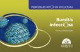 principales retos en avicultura bursitis infecciosa