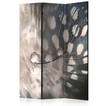 Biombo - Elegant Feather (135x172 Cm)