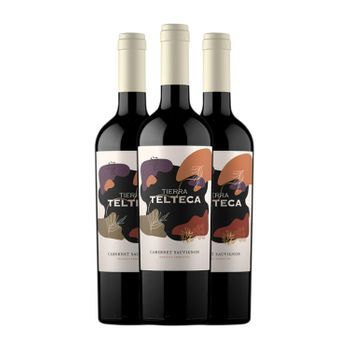 Agostino Vino Tinto Telteca Tierra Mendoza 75 Cl 13.5% Vol. (pack De 3 Unidades)