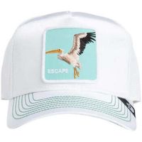 goorin bros sombrero cappello para nina