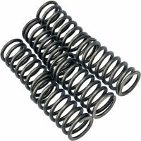 muelle de embrague ducati 40mm kit