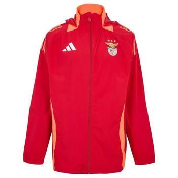 adidas Chaqueta deporte SL Benfica 24/25 para niño