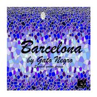 juego de cuerdas para guitarra clasica y espanola gato negro barcelona fabricadas en nylon y multifilamento de nylon entorchado de cobre plateado de alta calidad en espana desde 1868 tension media