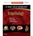 uropathology a volume in the high yield pathology series (expert consu