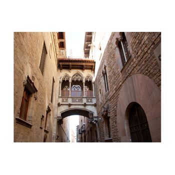 Papel Pintado 3d - Barcelona Palau Generalitat In Gothic Barrio (300x231 Cm)