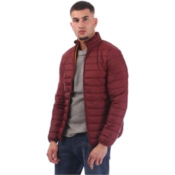 Aquascutum Cazadora GT56142 para hombre