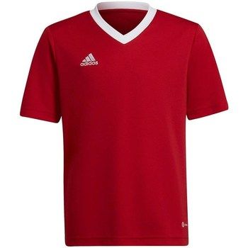 adidas Camiseta Entrada 22 Jsy para niño
