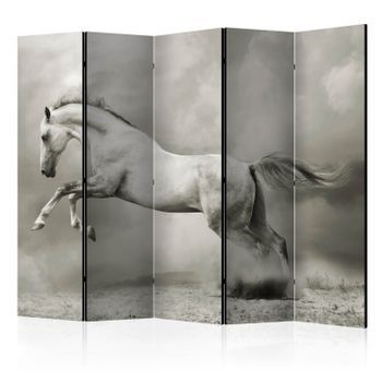 Biombo - Wild Stallion Ii (225x172 Cm)