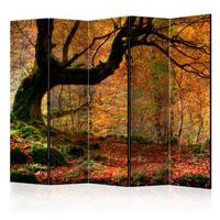 biombo - autumn forest and leaves ii room dividers