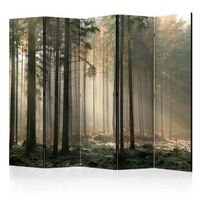 biombo - foggy november morning ii 225x172 cm