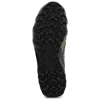 Dynafit Zapatillas de running Feline Sl Gtx Winter para hombre
