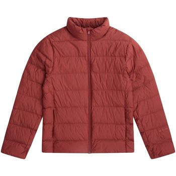 Animal Cazadora MW4591 para hombre