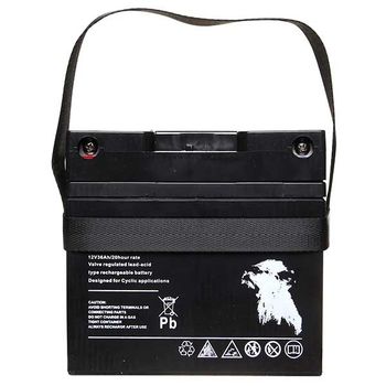 Golf AGM 12V 34AH + T-Bar + Carry Strap