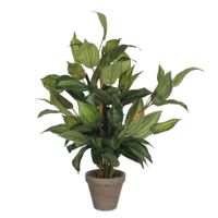 planta artificial hosta verde  h65xb40xl40cm