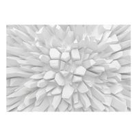 papel pintado 3d - white dahlia 350x245 cm