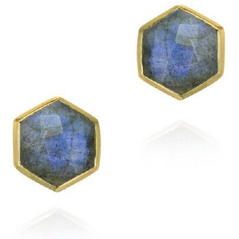 Jorge Revilla Pendientes Pendientes Hexagonal mini Atlas para mujer