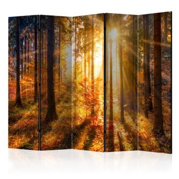 Biombo - Autumn Awakening Ii [room Dividers]