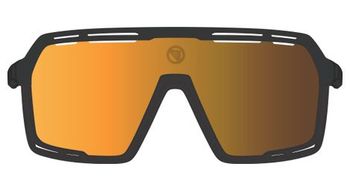 Gafas endura pro sl negro