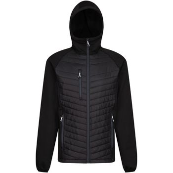 Regatta Abrigo de plumas RG9341 para hombre
