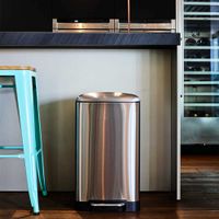 cubo de basura de cocina de pedal plata  30l