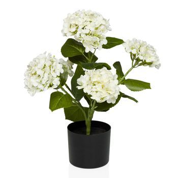Planta Artificial Hydrangea Blanco / Verde Hjh Office