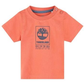Timberland Camiseta T60100 para niño