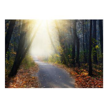 Papel Pintado 3d - Road Through The Forest (200x140 Cm)