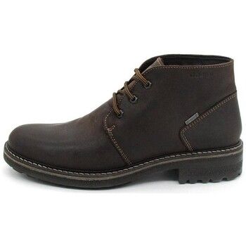 IgI&CO Botas 2622011 para hombre