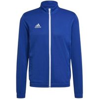 adidas chaqueta deporte entrada 22 para hombre