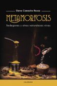 ibd metamorfosis  bodegones y otras naturalezas vivas