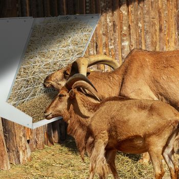 Mesita De Noche Moderna Con Estación De Carga Con Cajón Y Compartimento Abierto Mesa Auxiliar Para Sala De Estar Dormitorio Natural Cfw59702