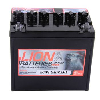 895 Battery - 2 Year Guarantee