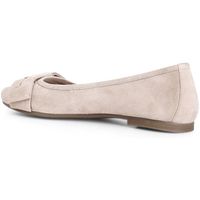 cafe noir bailarinas c1xv5131 para mujer