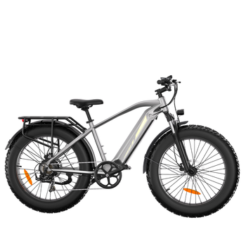 Bicicleta Eléctrica De Turismo Bodywel D6, Neumáticos Anchos, 48 ​​v 15 Ah, Gris