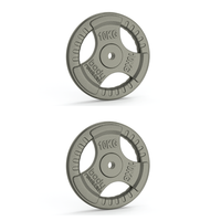 2x placas de pesas disco con agarre hierro fundido - 10kg
