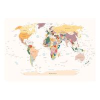 papel pintado 3d - mapa del mundo 300x210 cm