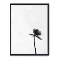 cuadro palm from below