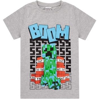 Minecraft Tops y Camisetas Boom para niño