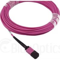 cable de fibra optica blueoptics mpompo om4 12 fibras 5 metros
