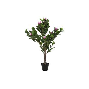Planta Pe 60x60x125 Magnolio Verde