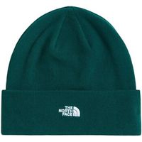 the north face gorro nf0a5fw1 para hombre