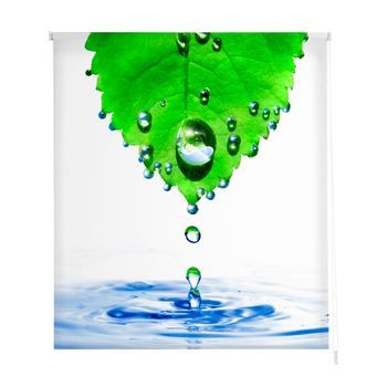 Estoralis - Estor Enrollable Translucido | Estampado Zen | 130 X 255 Cm (ancho/alto) Tamaño Tela 127 X 250 Cm | Z-1033 Unico