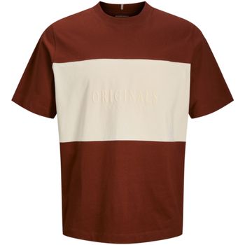 Jack & Jones Camiseta 12267437 JORFREDERIKSBERG MARGATE BLOCK TEE JNR BRANDY BROWN para niño